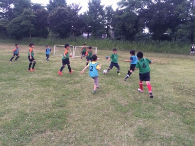 熊本県 Fckマリーゴールド サッカースクール 城山公園運動施設 スポサーチ 熊本県 Fckマリーゴールド サッカースクール 城山公園運動施設 スポサーチ