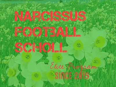 Narcissus Football School