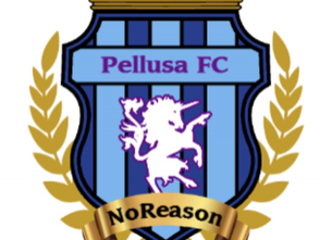 ペルーサ奈良サッカークラブ